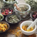 Exploring the Power of Natural Herbs and Remedies