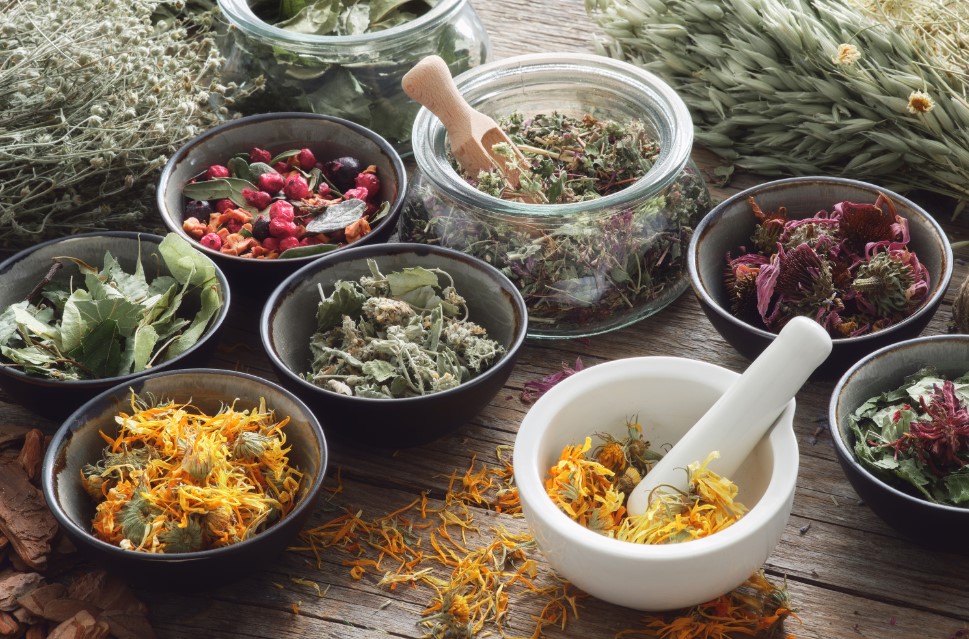 Exploring the Power of Natural Herbs and Remedies